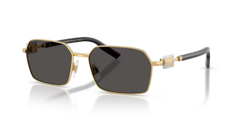 DOLCE E GABBANA  DG2316 02/87