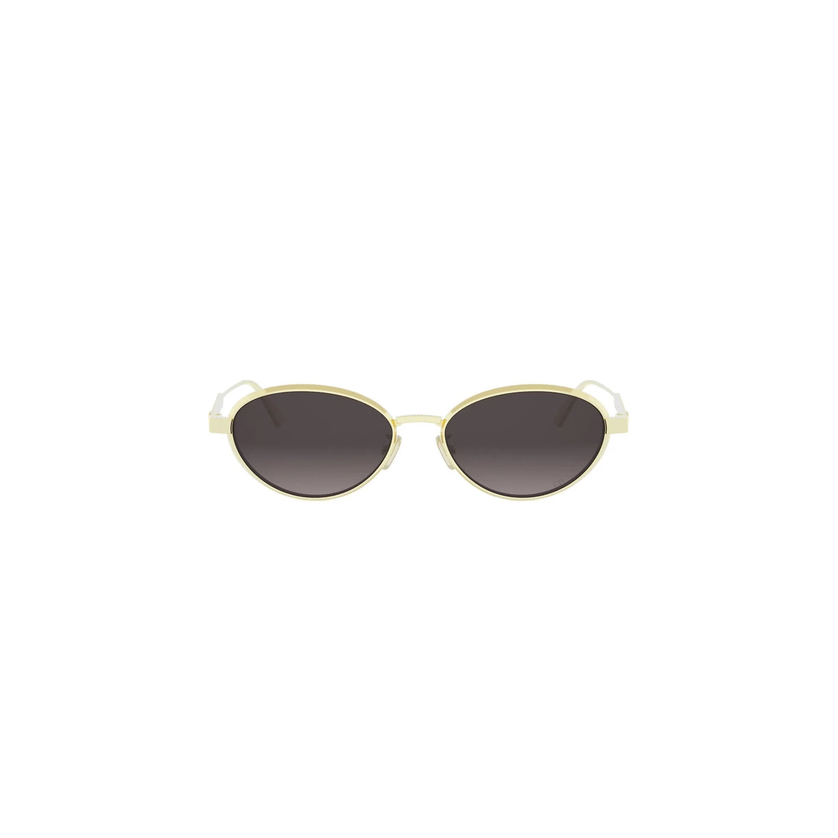 DIOR  DIORCANNAGE R1U B0A1